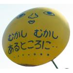 userPhoto