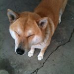 userPhoto